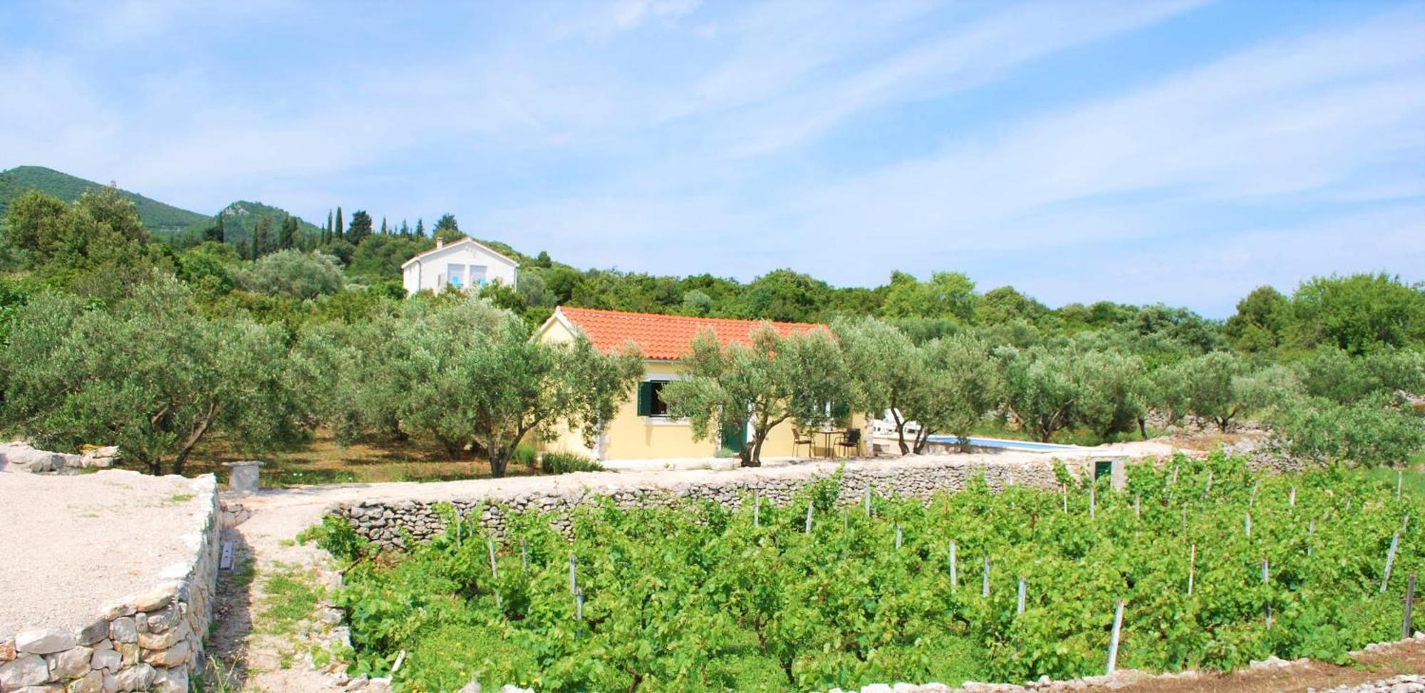 Vineyard House & Olive Grove House Vila Račišće Exterior foto