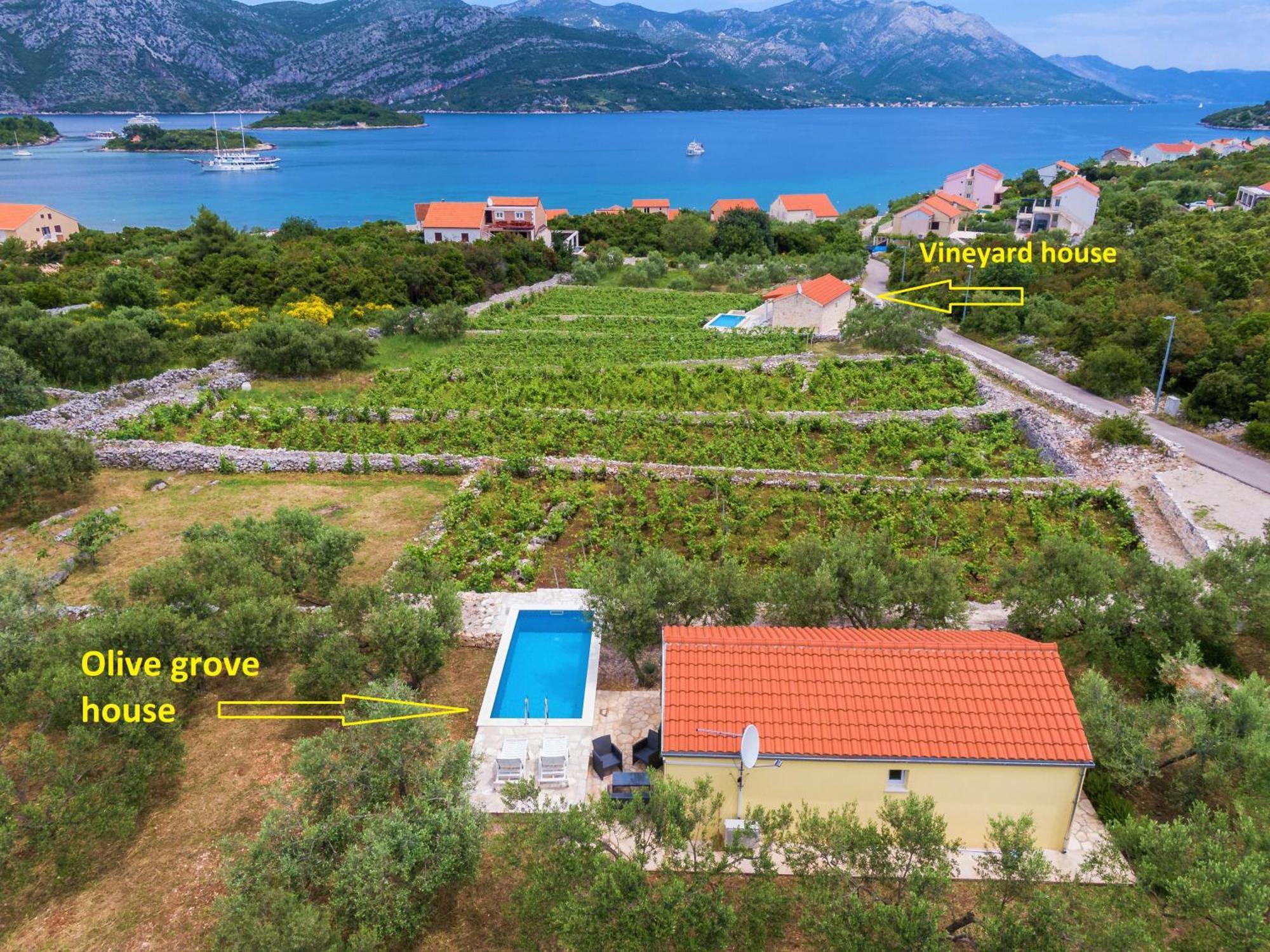 Vineyard House & Olive Grove House Vila Račišće Exterior foto
