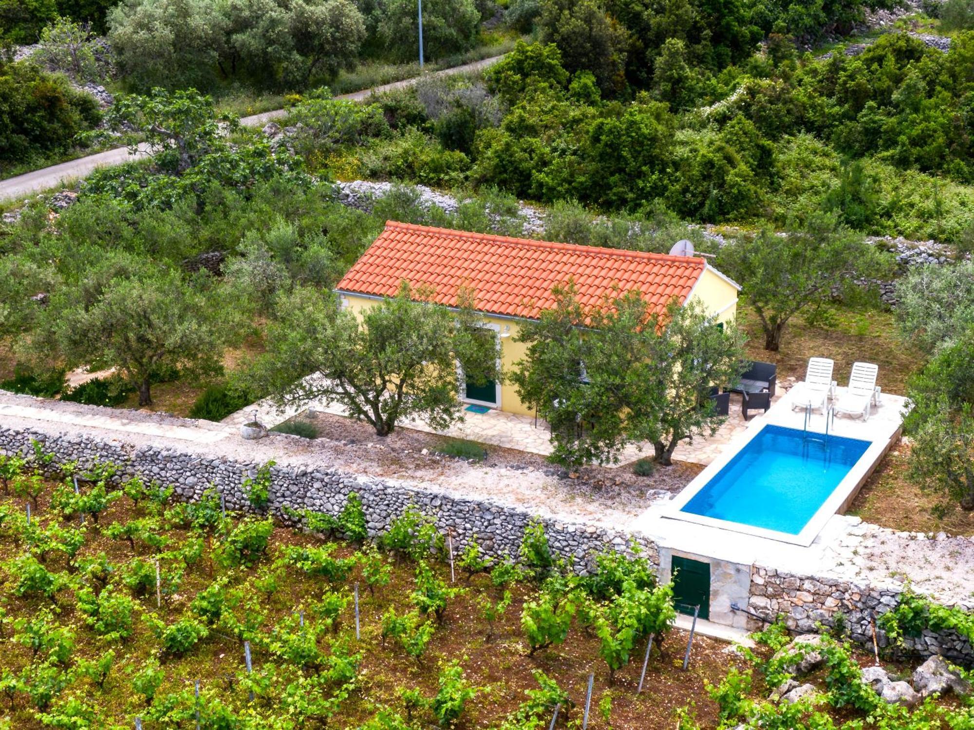 Vineyard House & Olive Grove House Vila Račišće Exterior foto