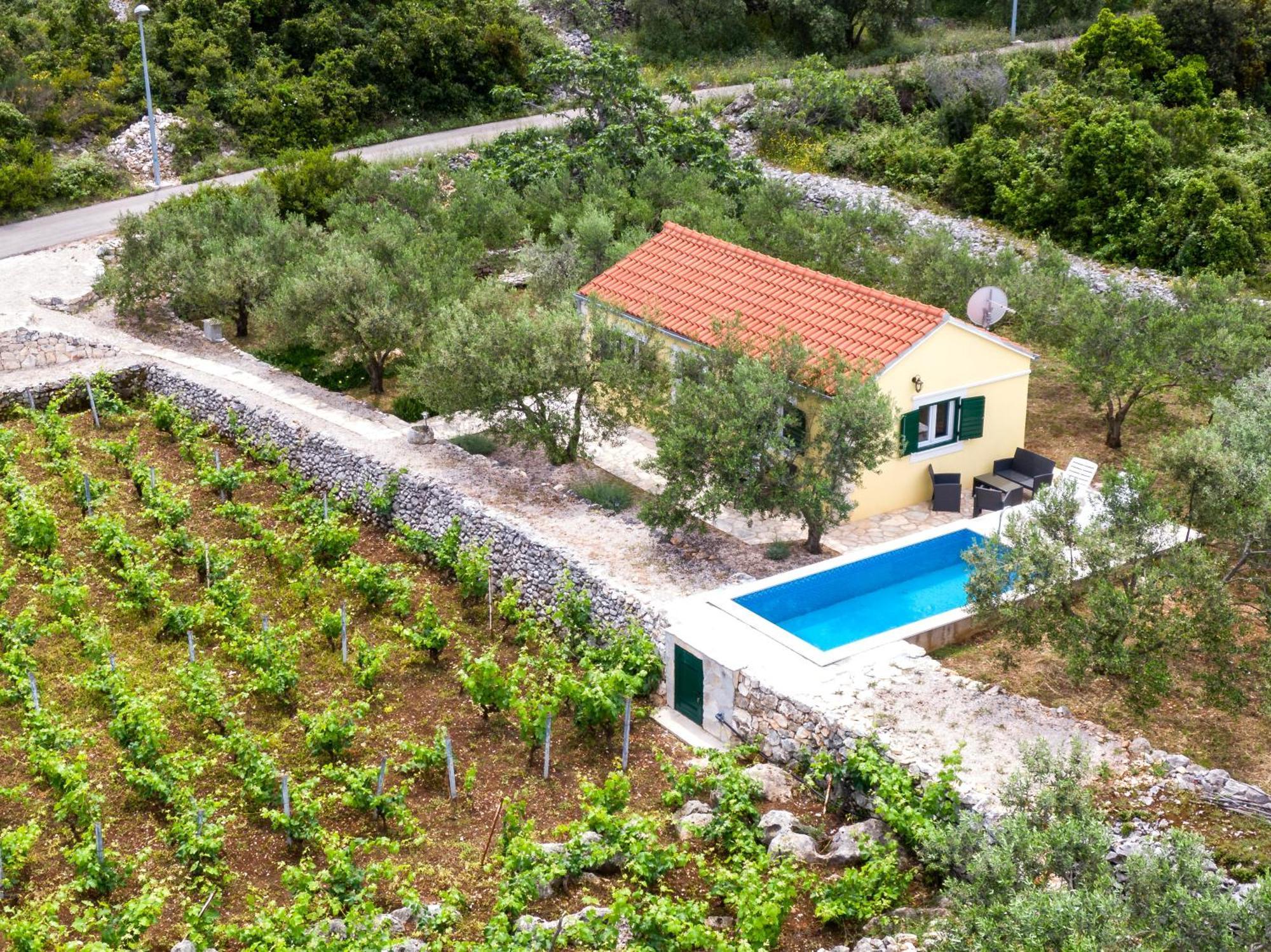 Vineyard House & Olive Grove House Vila Račišće Exterior foto