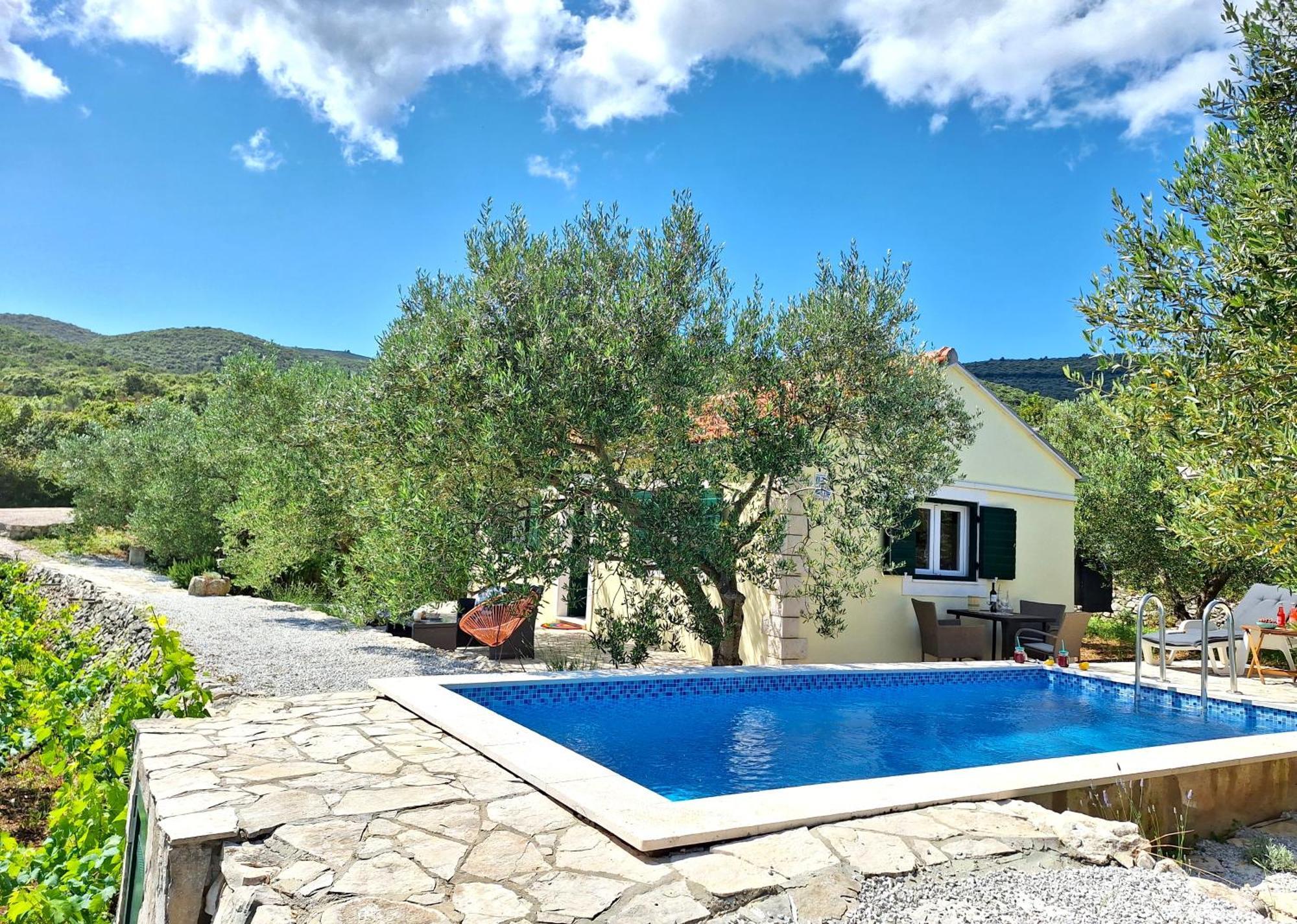 Vineyard House & Olive Grove House Vila Račišće Exterior foto