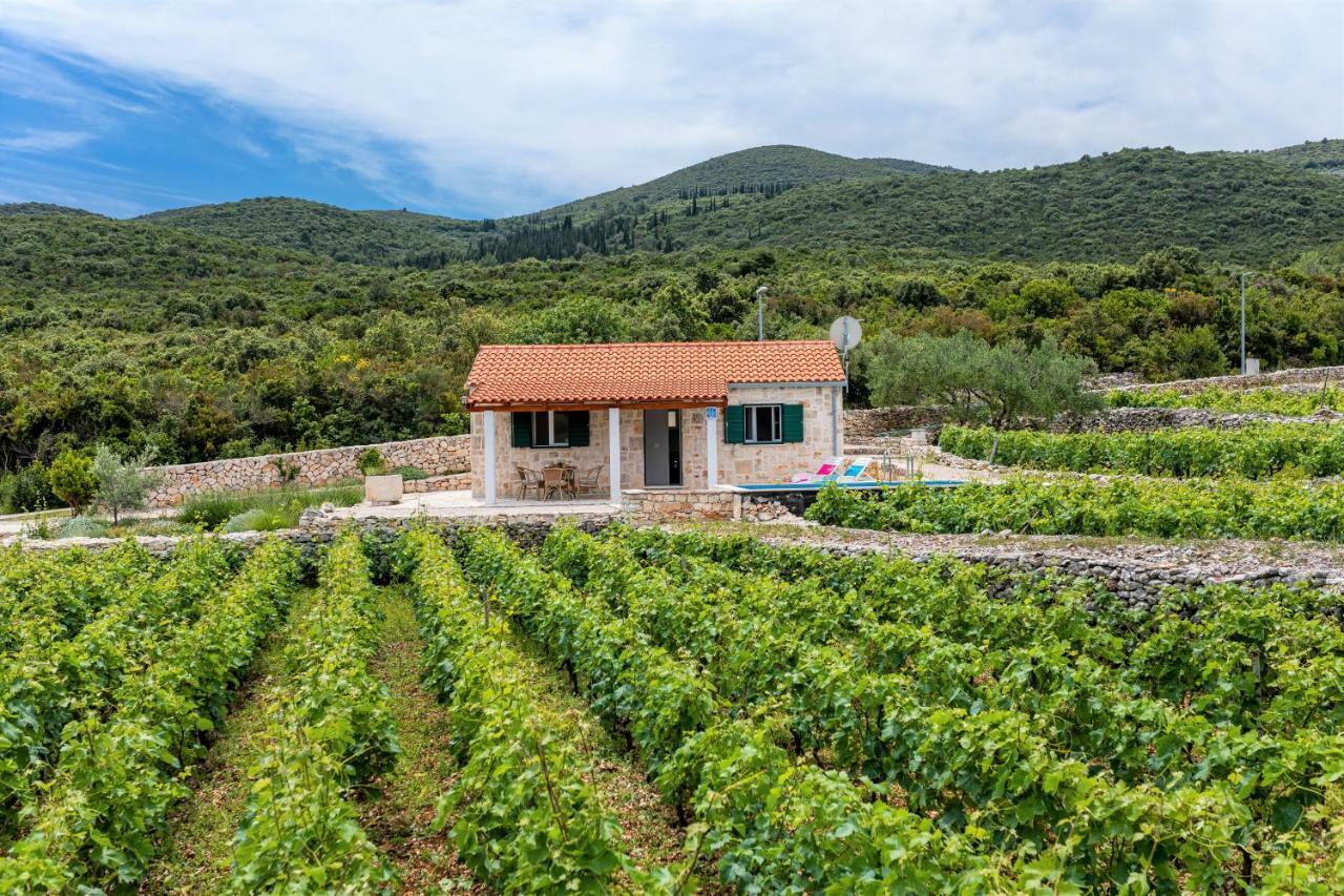 Vineyard House & Olive Grove House Vila Račišće Exterior foto