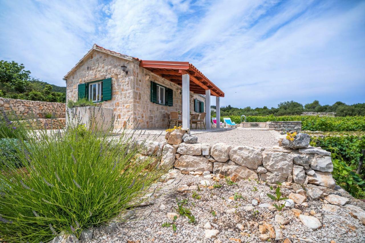 Vineyard House & Olive Grove House Vila Račišće Exterior foto