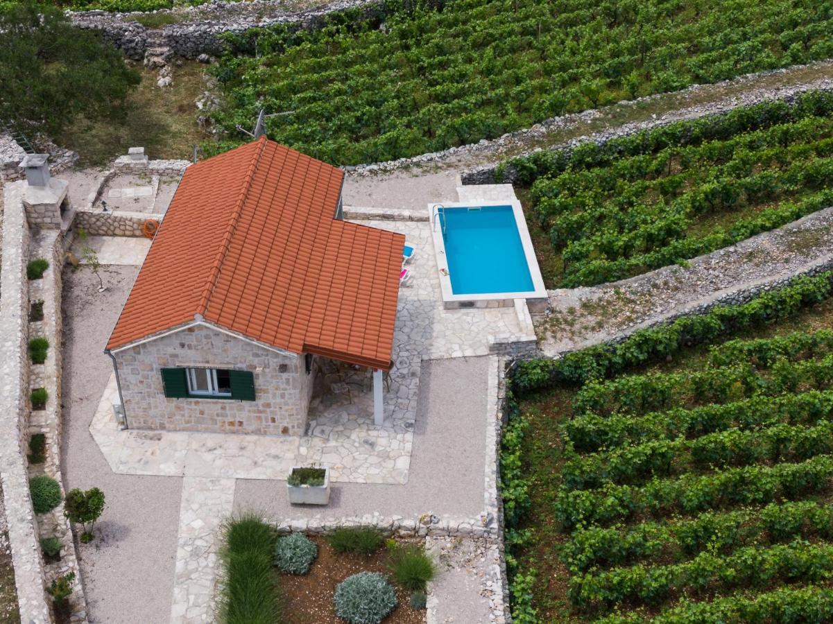 Vineyard House & Olive Grove House Vila Račišće Exterior foto
