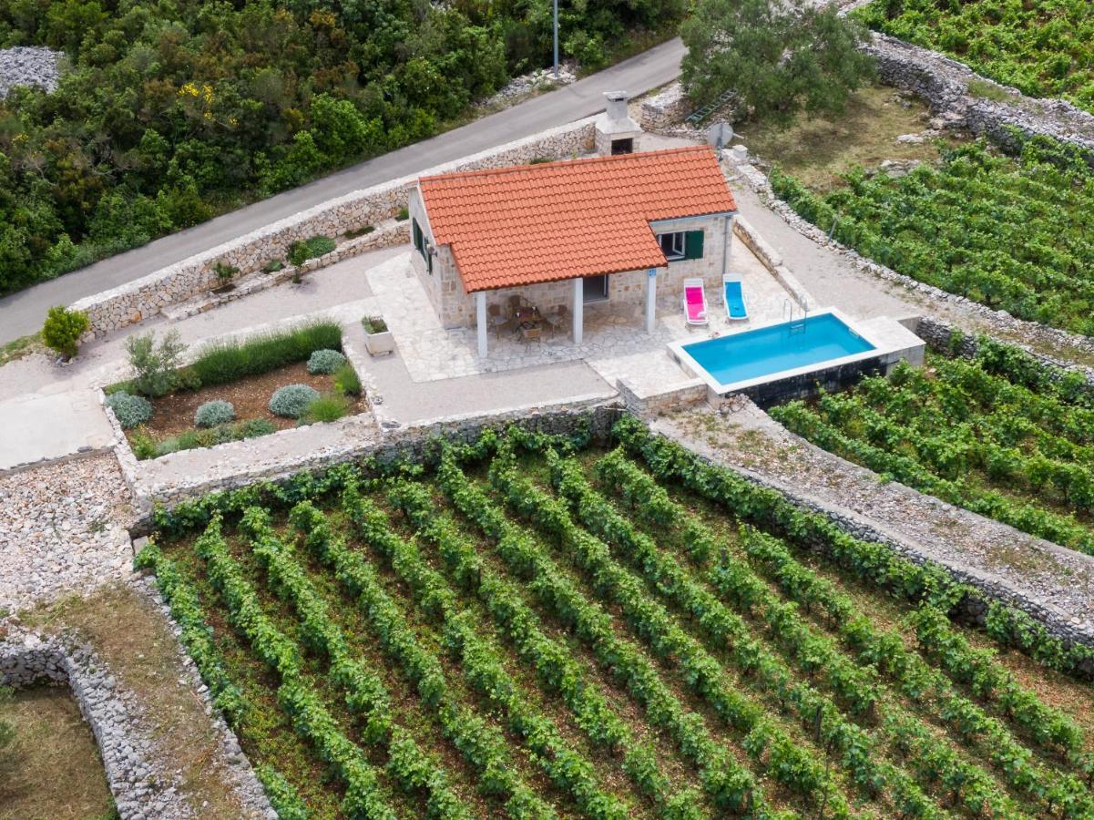 Vineyard House & Olive Grove House Vila Račišće Exterior foto